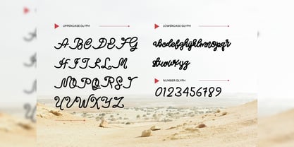 Nieckos Font Poster 2