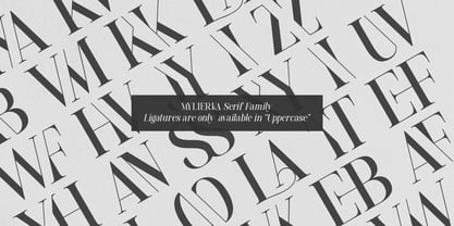 Mylierka Serif Font Font Poster 3