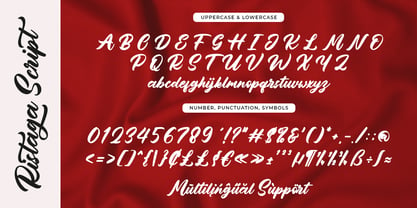 Ristaga Script Font Poster 6