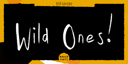 MF Wild Ones Font Poster 1