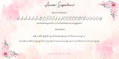 Anisa Signature Font Poster 7