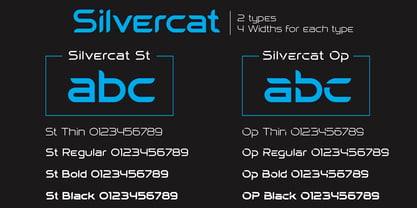 Silvercat Font Poster 4