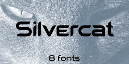 Silvercat Font Poster 2