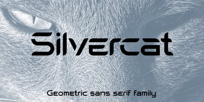 Silvercat Font Poster 1