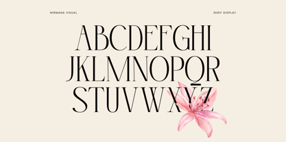 Asbor Fashion Font Poster 4