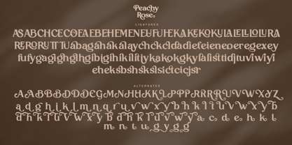 Peachy Rose Font Poster 11