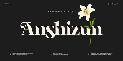 Anshizun Font Poster 1