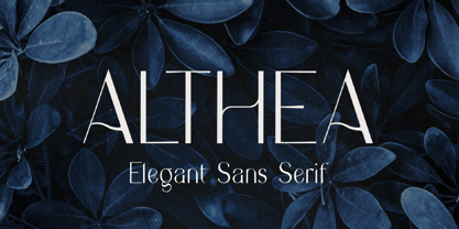 Althea Font Poster 1