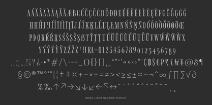 Roqo Font Poster 7