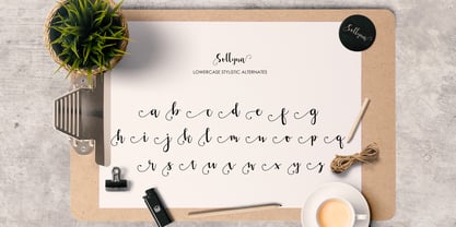Sollyna Font Poster 13
