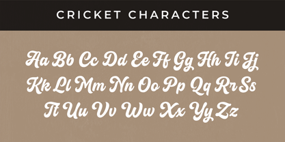 Cricket Script Font Poster 8