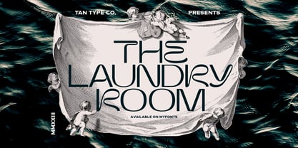 TAN The Laundry Room Font Poster 1