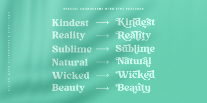 Kindest Reality Font Poster 11