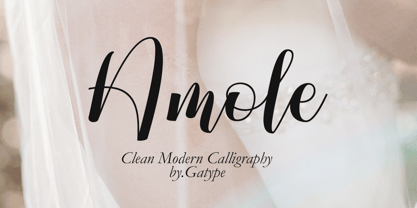 Amole Font Poster 1