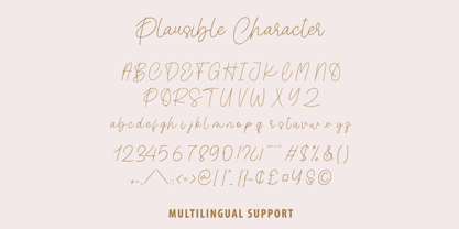 Plausible Font Poster 9