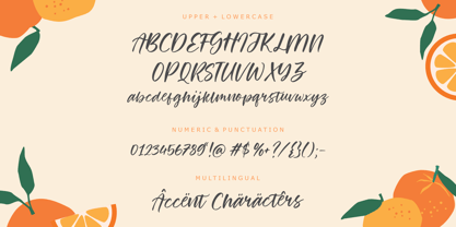 Orange Garden Font Poster 5