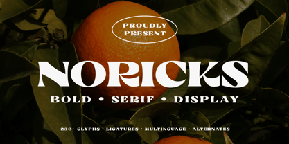 Noricks Font Poster 2