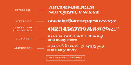 Noricks Font Poster 11