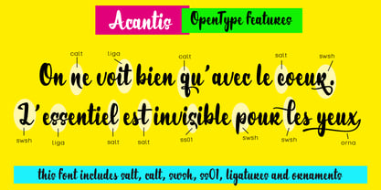 Acantis Font Poster 4