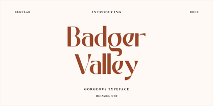 Badger Valley Font Poster 1