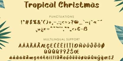 Tropical Christmas Font Poster 7