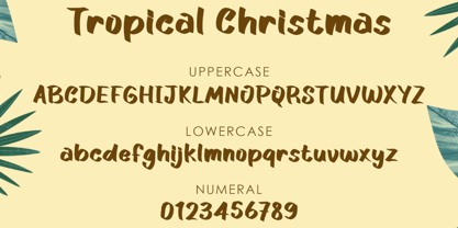 Tropical Christmas Font Poster 6