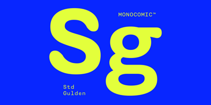 SG Monocomic Font Poster 3