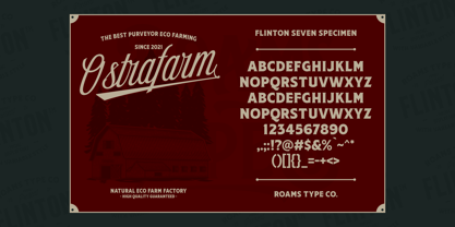 RTCO Flinton Font Poster 9