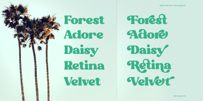 Fresh Almond Classy Retro Serif Font Poster 9