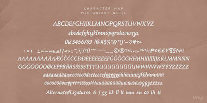 Quirky Quill Font Poster 2