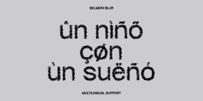 Belmein Unfocus Fuente Póster 5