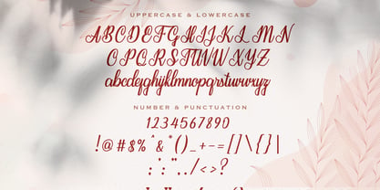 Seindah Cinttya Font Poster 10