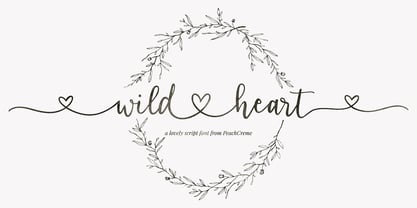 Wild Heart Font Poster 1