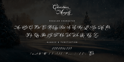 Christmas Angely Font Poster 9