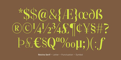 Reicha Font Poster 15