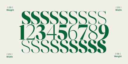 Reicha Font Poster 14