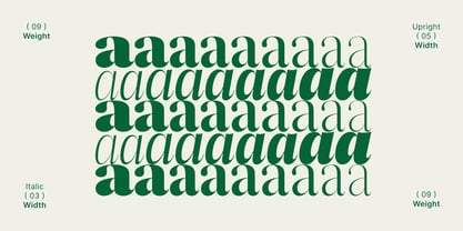 Reicha Font Poster 11