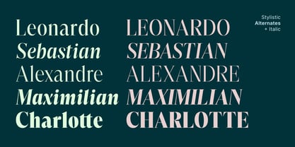 Reicha Font Poster 12