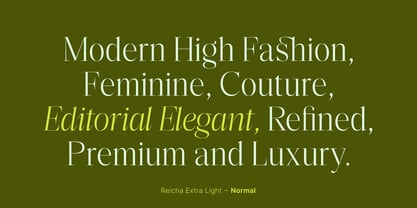 Reicha Font Poster 3
