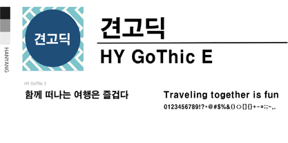 HY Gothic E Police Poster 1