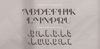 Galeriya Font Poster 12