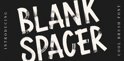 Blank Spacer Font Poster 1