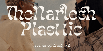 Narlesh Plasttic Font Poster 1