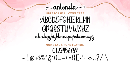The Antonela Font Poster 5
