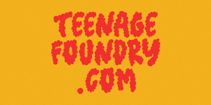 Teenage Kloudy Font Poster 6
