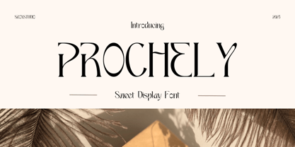 Prochely Font Poster 1