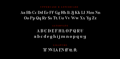 Qilavoen Font Poster 9