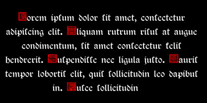 Dottore Vibulanus Font Poster 4