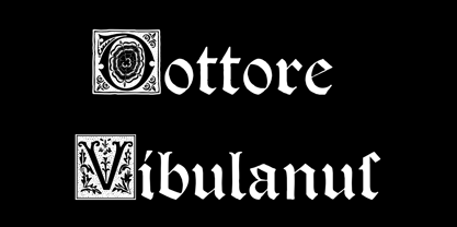 Dottore Vibulanus Font Poster 1