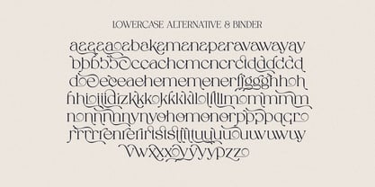 Spadore Font Poster 14